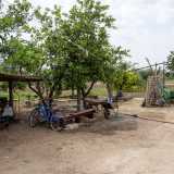 �Un tempo erano molto di pi� e tutti gli abitanti della zona venivano da noi a prendere le uova fresche  - ci dice uno degli anziani �. Avevamo anche delle pecore: potevamo definirci una piccola fattoria. Anche se qui continuiamo a coltivare limoni, fichi e uva con vecchi attrezzi agricoli�